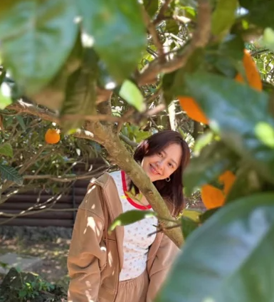 강성연 새 남편과 귤밭 데이트 사진 관련 이미지