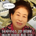 전원주 하이닉스 투자 관련 이미지