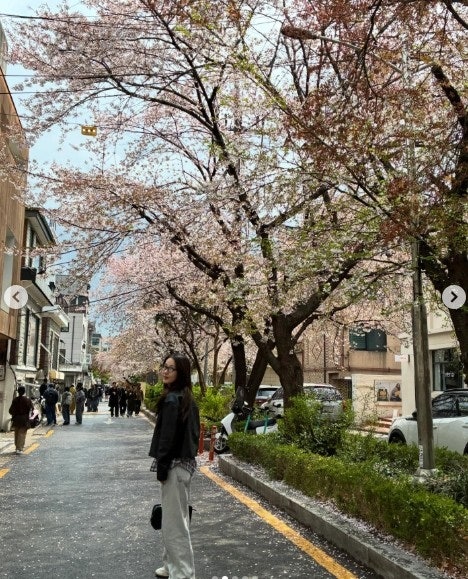 벚꽃을 배경으로 사진을 찍는 이진과 성유리