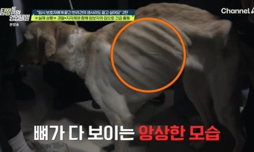 한가인 파격 변신 모습